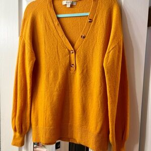 LOFT Women's Golden V-Neck Sweater